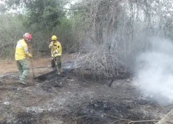 incendios