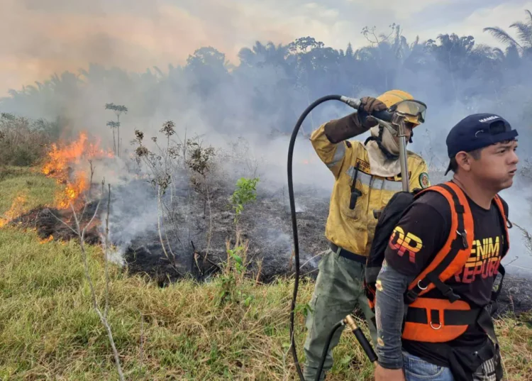 incendios.jpg