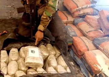 La droga estaba camuflada entre bolsas de estuco/FELCN