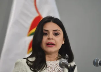 Carla Faval cuando se desempeñaba como vocera de la Presidencia.
Foto: APG