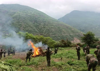 Los uniformados de la FELCN incineraron la droga hallada/FELCN