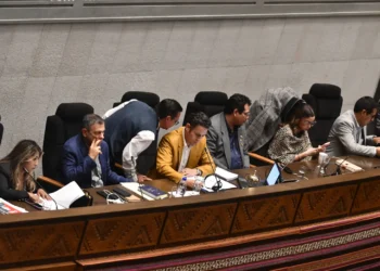 El vicepresidente Edmand Lara dirigió la sesión sin ningún consenso hasta las 02.31. Foto: APG