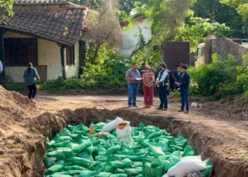 Las semillas ilegales fueron destruidas. Foto: Ministerio de Desarrollo Productivo.