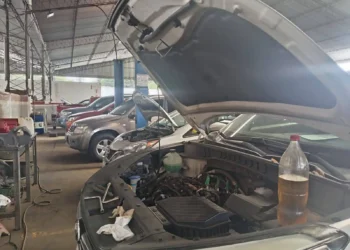 gasolina