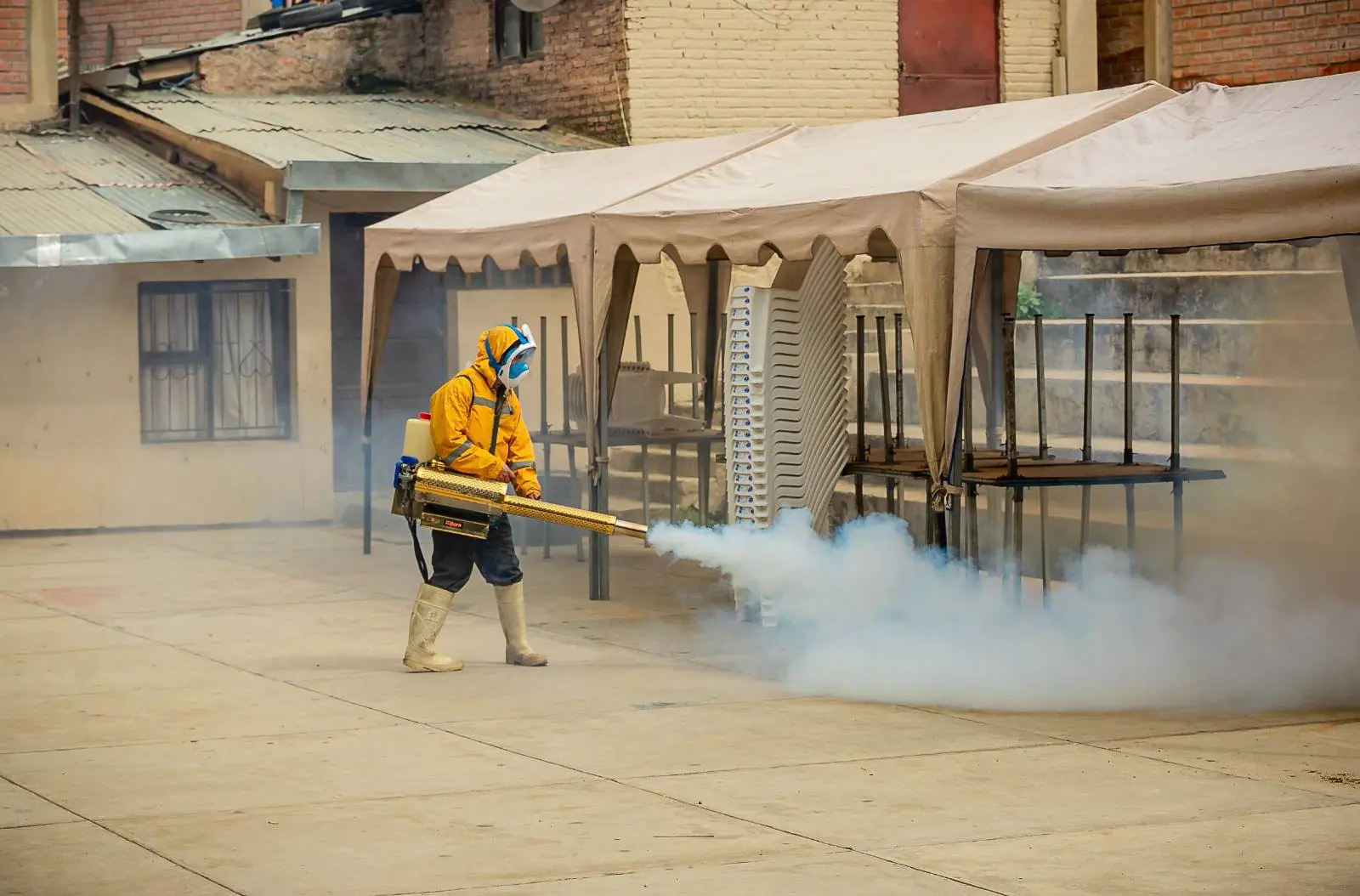 Chikungunya: Cochabamba alista campaña para eliminar criaderos de mosquitos