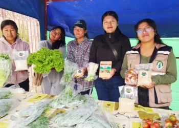 Estudiantes de la UMSA ofrecen alimentos saludables. FOTO: UMSA