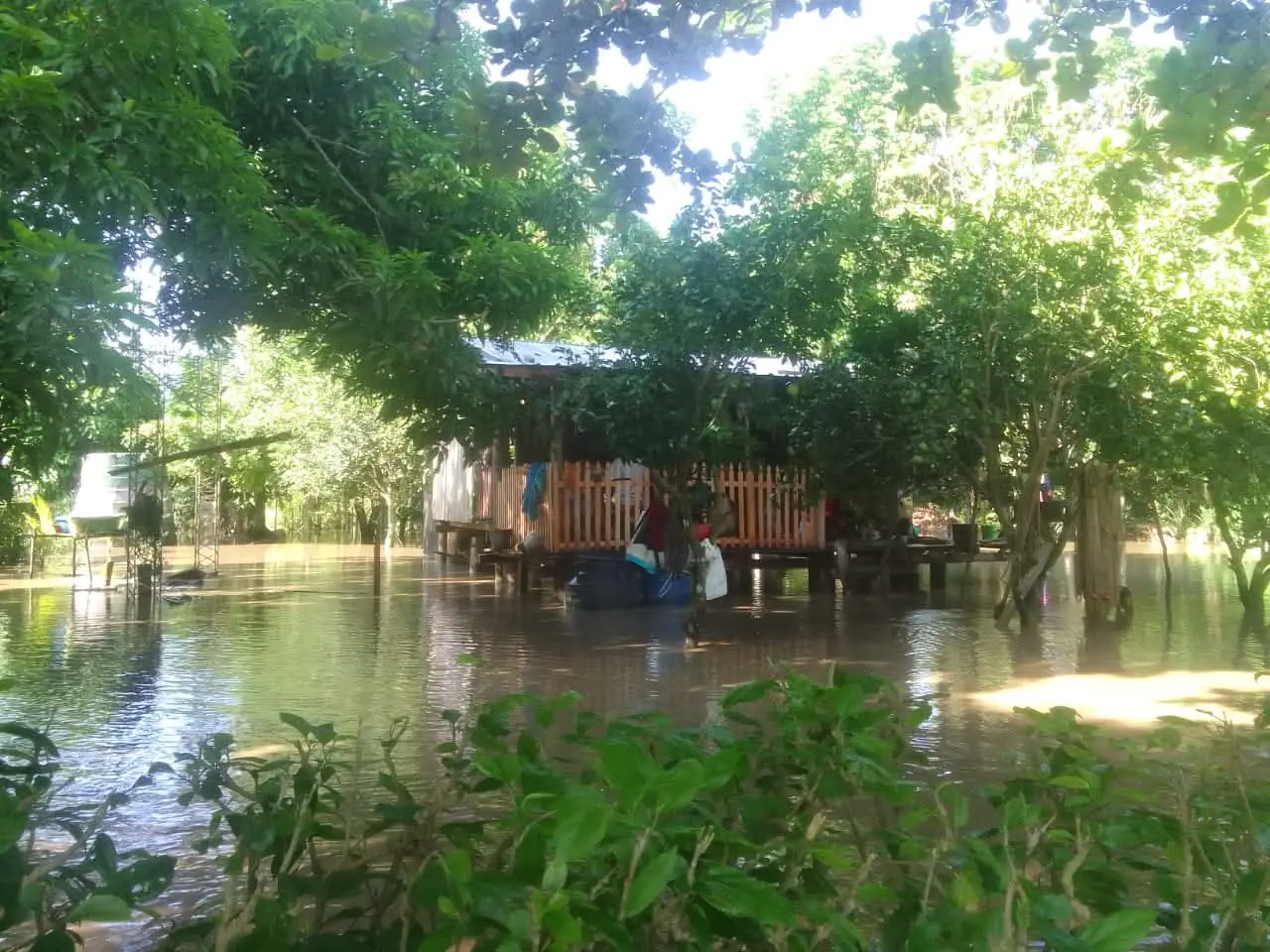 Lluvias en Bolivia dejan unas 1.500 familias afectadas y 37 fallecidos