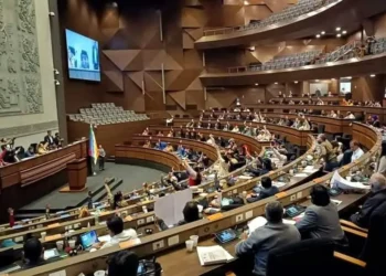 Sesión de la Cámara de Diputados. (Foto: Defensoría)