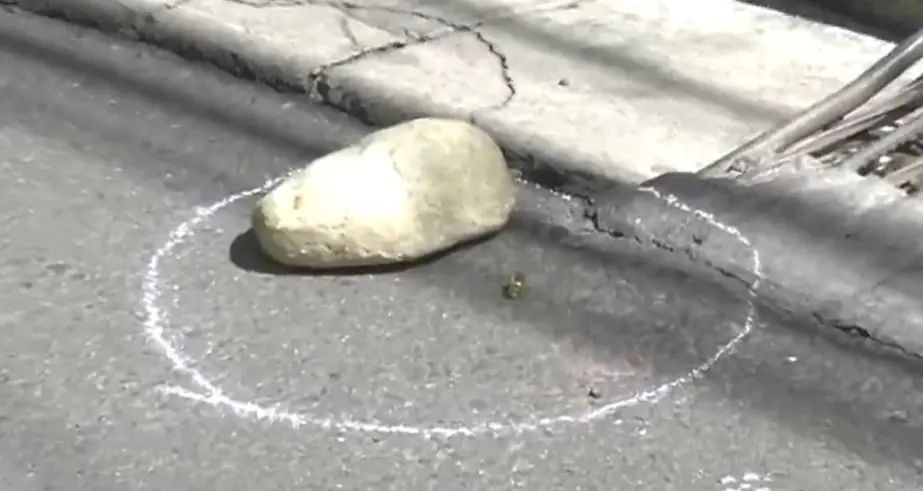 Policía aprehende a sospechoso del asalto armado en Villa Copacabana