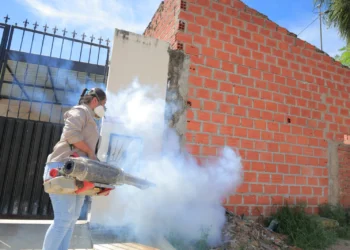 chikungunya