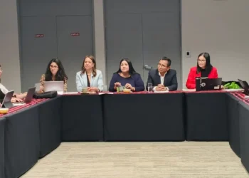 Informe defensorial sobre la atención a víctimas de violencia. FOTO: Defensoría del Pueblo