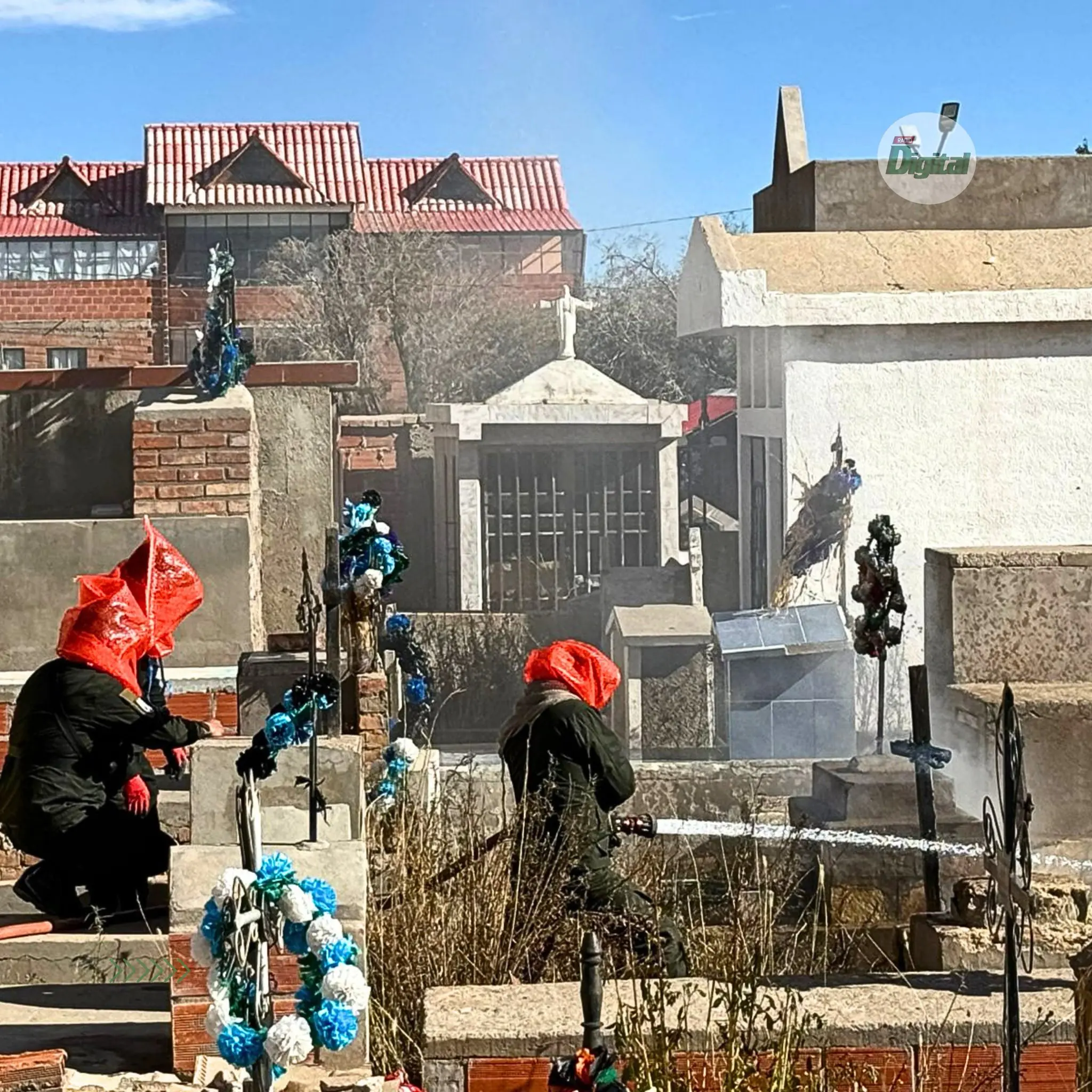 Ataque de abejas deja dos heridos en el cementerio de Villazón