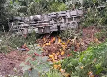 El camión quedó volcado de costado/RRSS