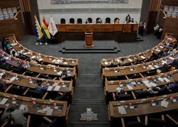 Sesión en la Cámara de Diputados. Foto: Cámara de Diputados