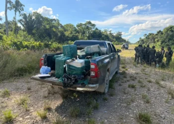 Personal de Umopar tras el operativo en el Trópico de Cochabamba. (Foto: Ernesto Justiniano)