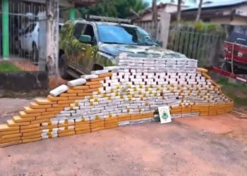 Los paquetes con droga que estaban en la embarcación/Policía Federal