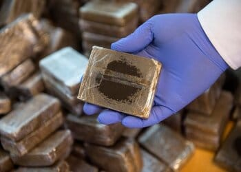 Reunión regional devela ingreso de hachís a Sudamérica; Bolivia respalda reforzar controles