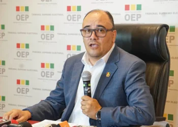 El presidente el TSE Gustavo Ávila, dio detalles del proceso contra NGP/Archivo