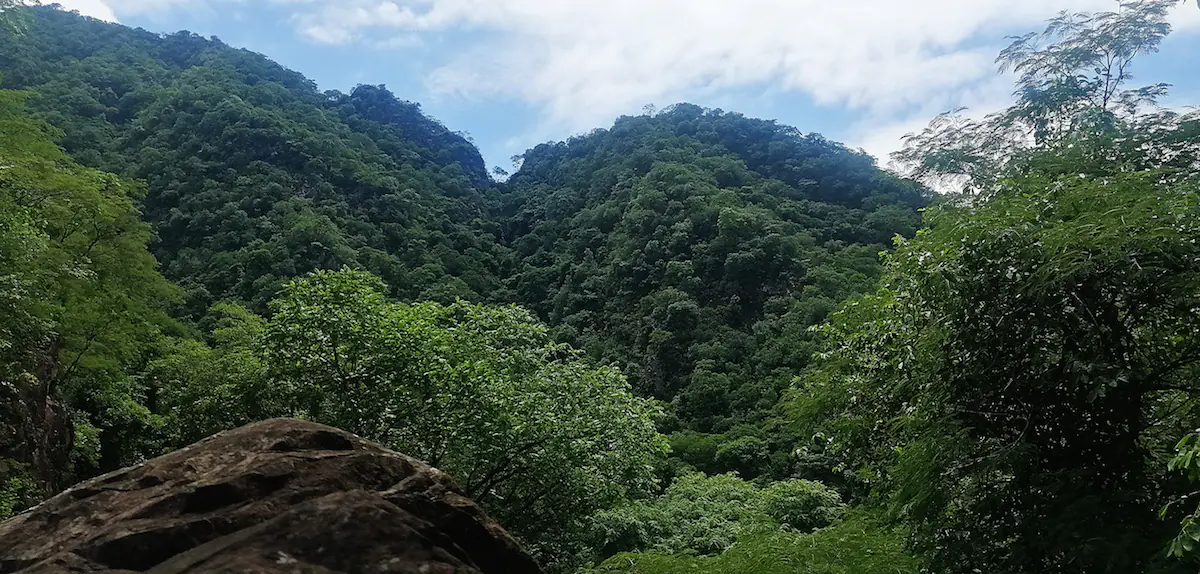 Parque Aguaragüe.
Foto referencial