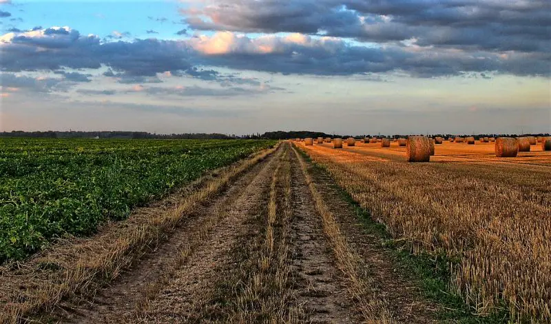 Confeagro apoya Ley 157 y pide su promulgación inmediata