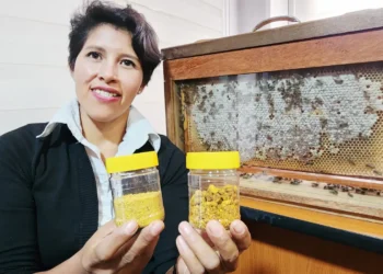 Zulma Aliaga innova con "pan de abeja".
Foto: UMSA