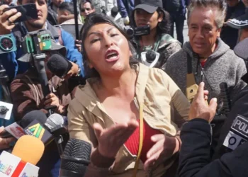Mujer evista defiende la gestión del expresidente Evo Morales. Foto: APG