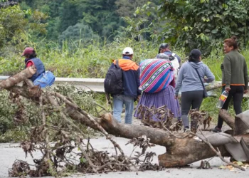 Los bloqueos de caminos persisten; los movilizados demandan a las autoridades la dotación de combustible de buena calidad. Foto: APG