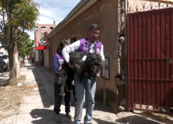 Personal de Zoonosis realizó un operativo en la zona Valle Hermoso de Cochabamba. FOTO: GAMC
