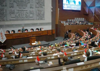 Sesión ordinaria de la Cámara de Diputados