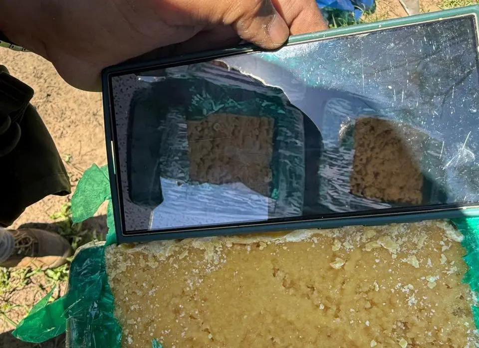 Aprehenden a policía acusado de adulterar droga que iba a ser incinerada