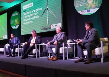 Participación de Larrain Saavedra en el panel de seguridad energética. Foto: ENDE