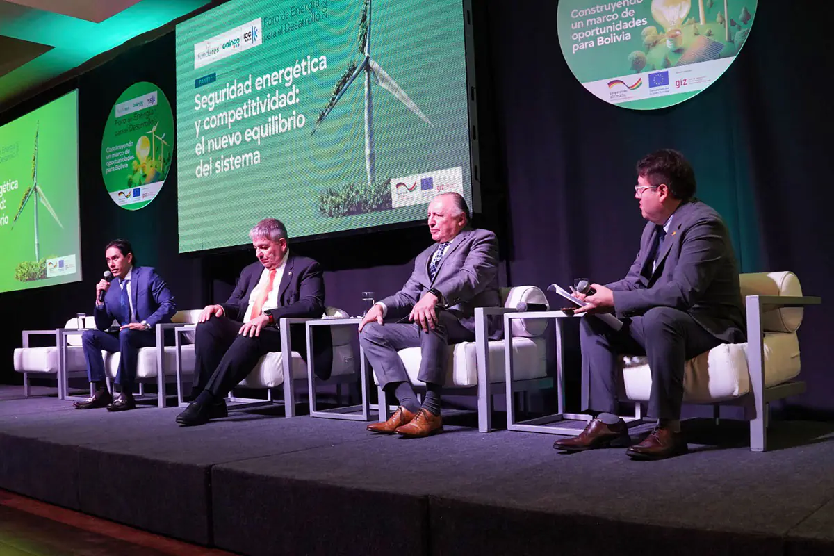 Participación de Larrain Saavedra en el panel de seguridad energética. Foto: ENDE