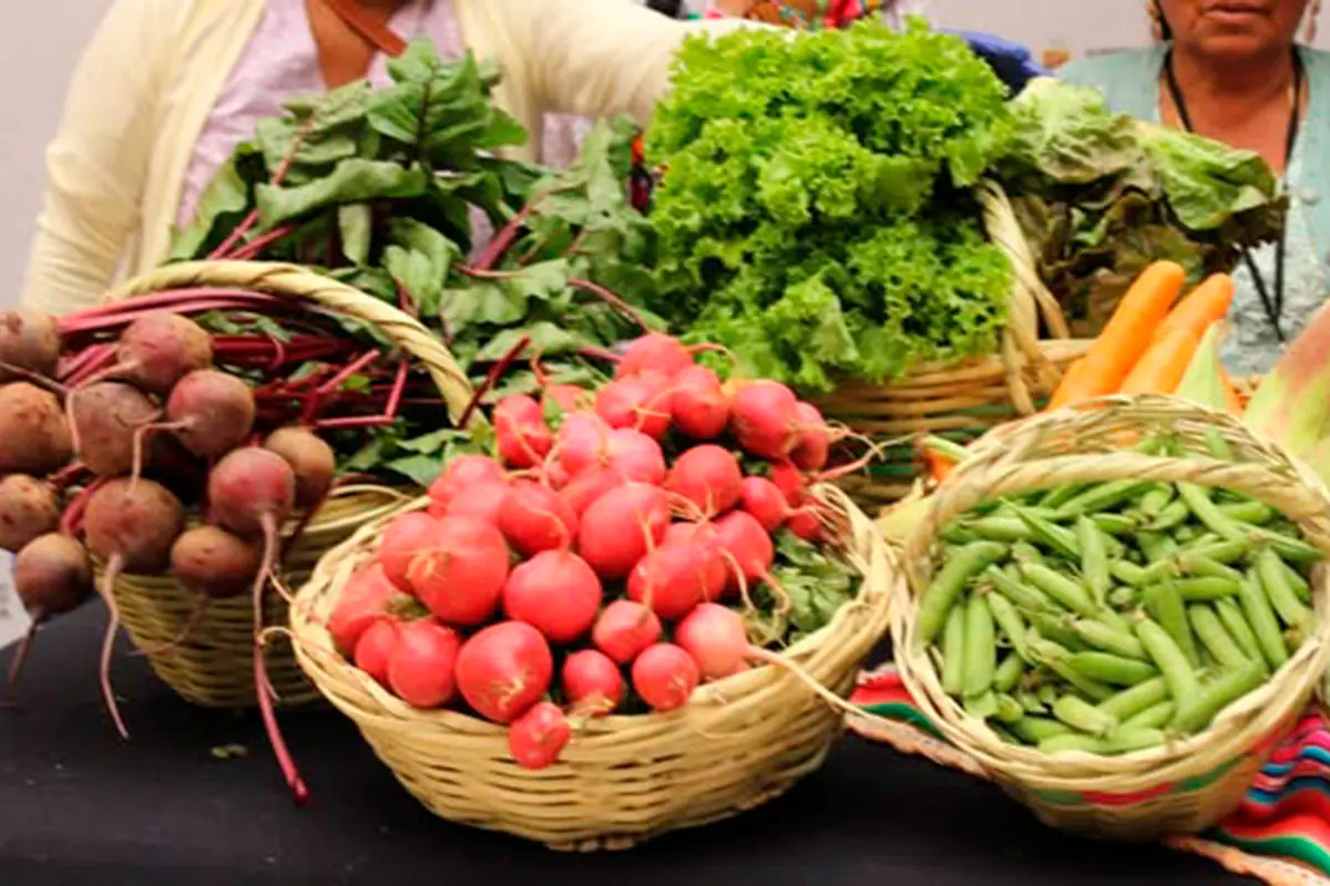 Ministerio de Desarrollo Productivo anuncia la feria ‘Bolivia Produce’