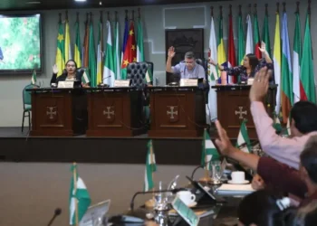 La Asamblea Departamental sesiona hoy/ALD