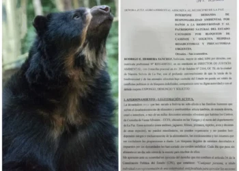 Presentan demanda contra bloqueadores por atentar contra la vida de la fauna silvestre. FOTO: RRSS