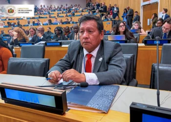 El viceministro Héctor Huanca en la ONU. Foto: Cancillería