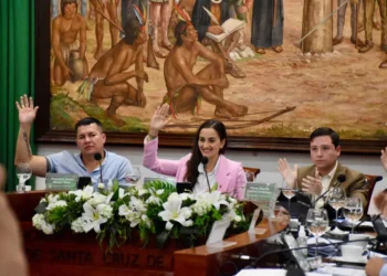 Concejales aprobaron ley de derecho propietario del Mercado Mutalista. FOTO: Concejo de Santa Cruz