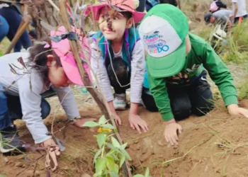 Movimiento Un Millón de Árboles realiza la reforestación. FOTO: Un Millón de Árboles