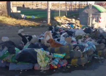 Basura acumulada debido a la suspensión de la recolección por los bloqueos. FOTO: GAMEA