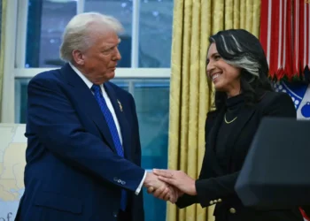 Trump y Tulsi Gabbard cuando fue designada/AFP