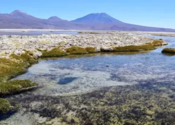 Uno de los salares de Atacama, en el vecino país de Chile (Foto: Fundación Terram)