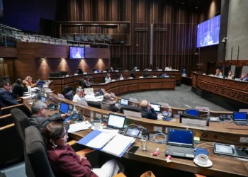 Una sesión de la Cámara de Senadores.
Foto: Cámara de Senadores