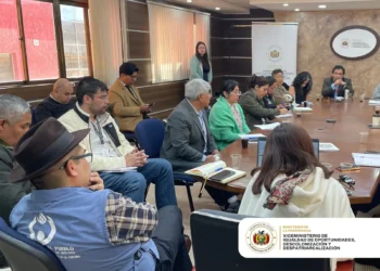Imagen: Viceministerio de Igualdad de Oportunidades, Descolonización y Despatriarcalización.