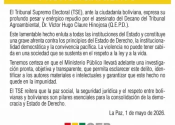 El documento fue difundido en la red social Facebook del Tribunal Supremo Electoral.
Foto TSE