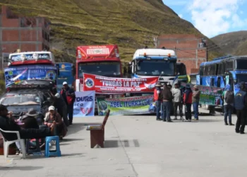 Yungas