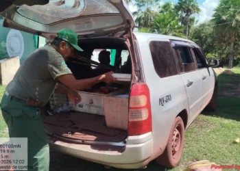 Personal del Sernap interviene la caza ilegal de un ciervo en el Parque Otuquis. FOTO: Sernap