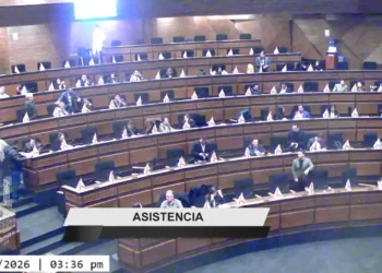 Sesión en la Cámara de Diputados. Foto: Captura