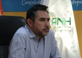 Freddy Zenteno Lara, director de la ANH. Foto: Prensa ANH