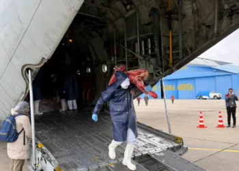 Traslado de carne vacuna a la ciudad de La Paz vía el puente aéreo. Foto: Viceministerio de Comercio y Logística interna