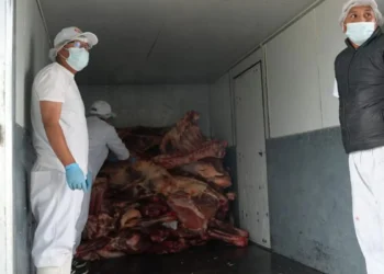 Envío de carne a la ciudad de La Paz. Foto: Ministerio de Desarrollo Productivo